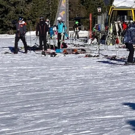 Nyaraló Goldstern *