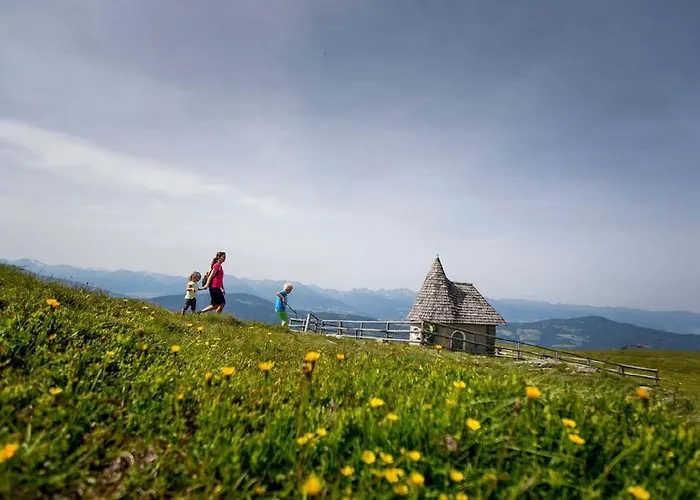 Goldstern Sankt Lorenzen ob Murau